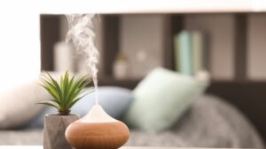 atelier- huiles -essentielles-diffuseur